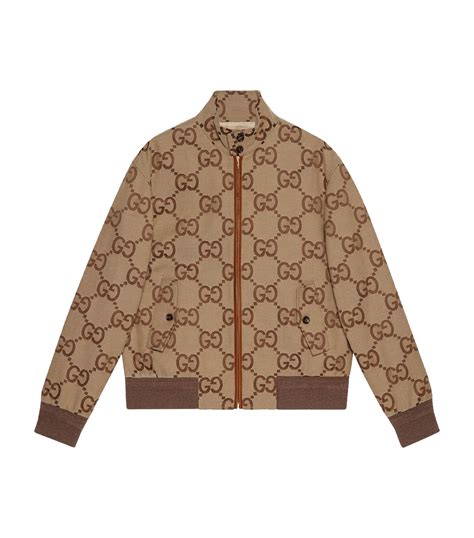 gucci latest jackets|Gucci jacket price.